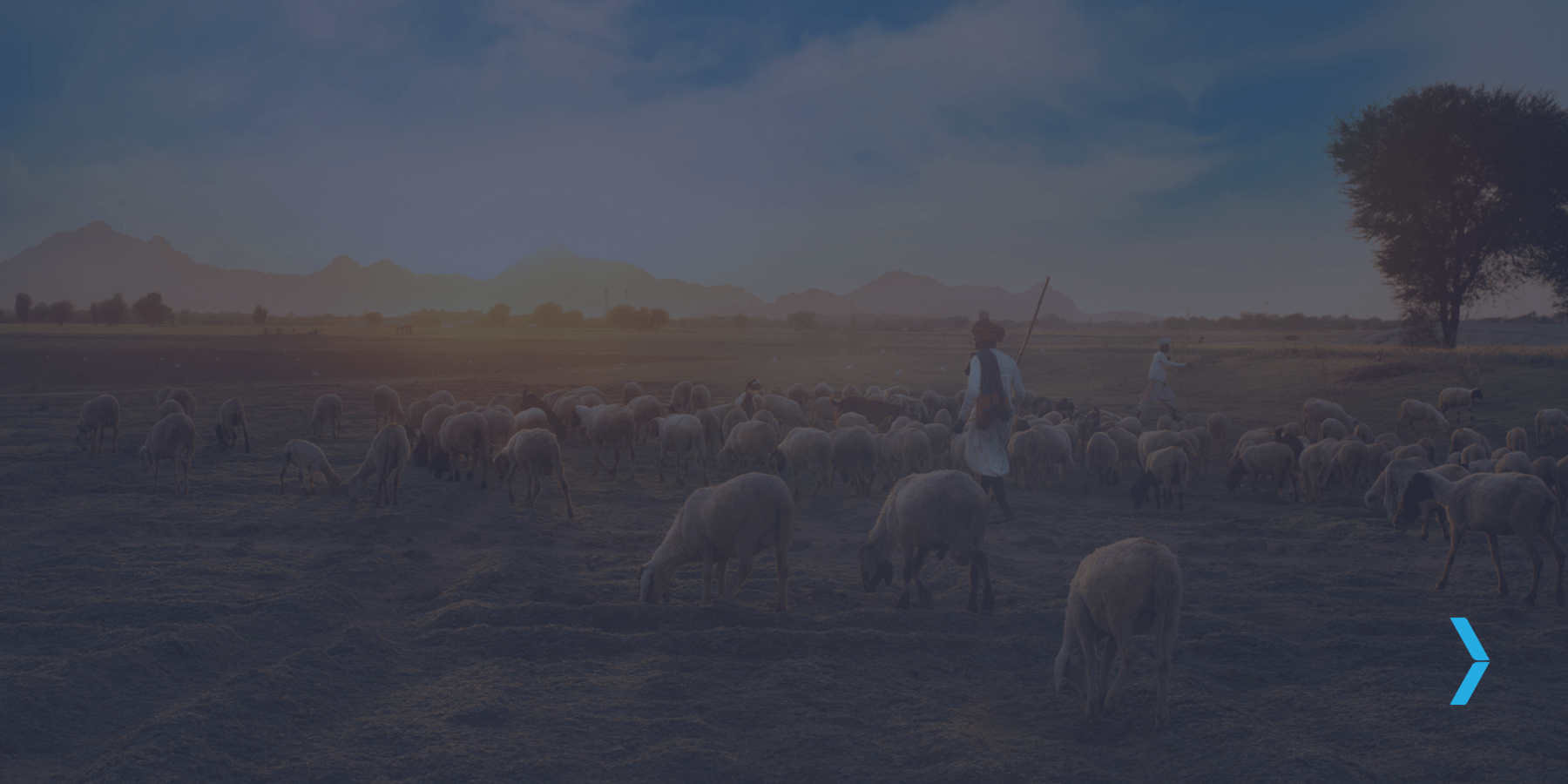 My Prayer - The Great Shepherd